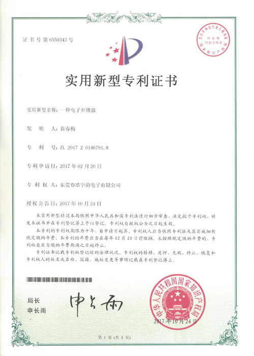 Patent