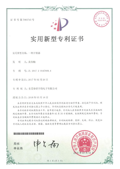 Patent